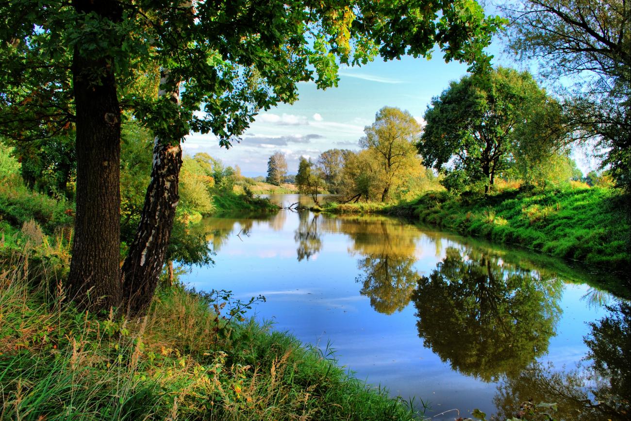 Zakątek rzeki Wisły