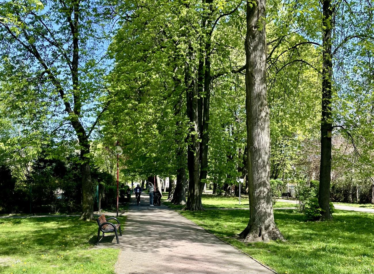 Park Zieleźnika