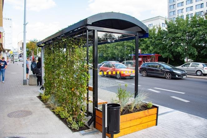zielona wiata przystankowa