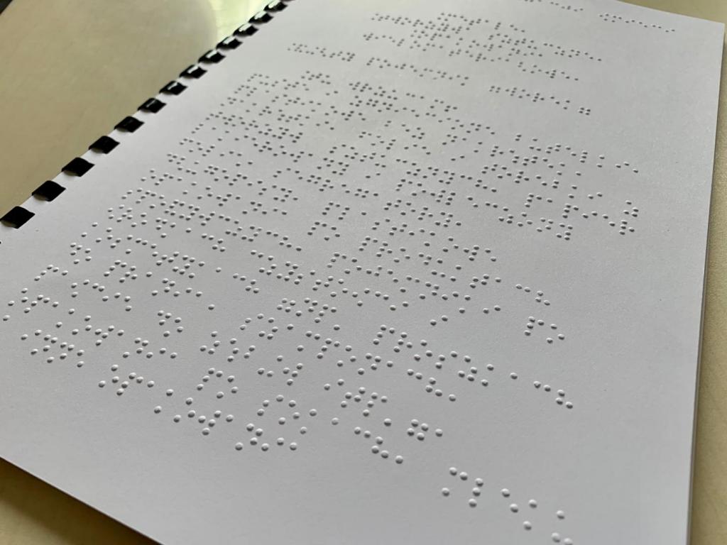 poradnik segregacji w języku Braille'a