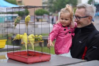 Mężczyzna z dzieckiem na rękach oglądający papugi w klatce