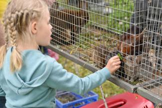 Dziewczynka karmiąca króliki w klatce