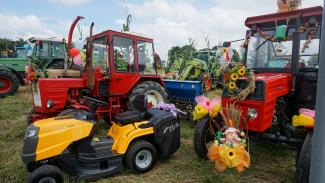 dekoracje dożynkowe: ciągniki rolnicze ustawione na polu, z korowodu dożynkowego