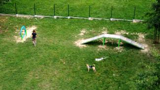 wybieg dla psów na terenie Parku na Północy w Czechowicach-Dziedzicach