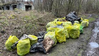 śmieci zebrane w trakcie akcji Wiosenne Porządki