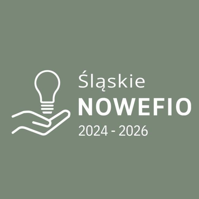 Logo programu grantowego Śląskie NOWEFIO na lata 2024-2026
